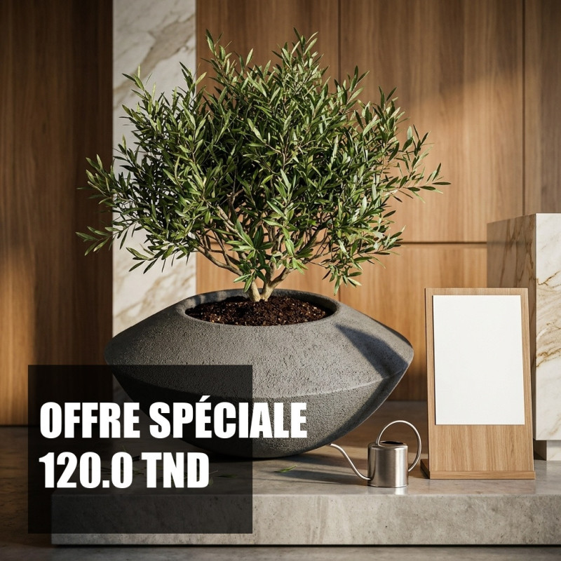 Pot Design SONIC 50 cm en GRC Léger STONFLEX
